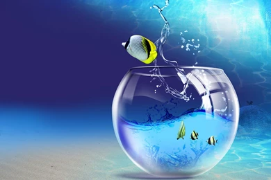 Images Wallpapers For Desktop