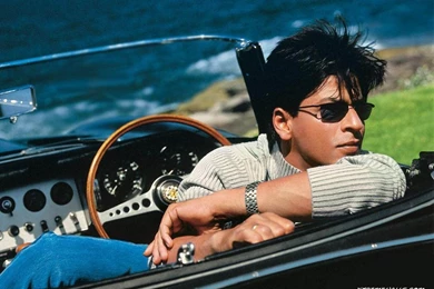 Free Shahrukh Khan Wallpapers