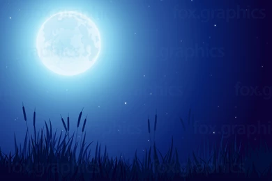 Full Moon Backgrounds Fox Graphics