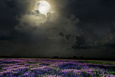 20 Full Moon Desktop Backgrounds HD Wallpapers :: Full Moon Desktop ...