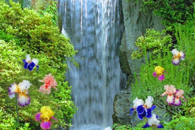 Water Fall Images