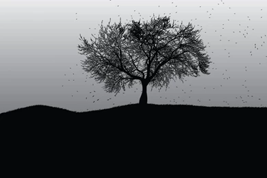 Black And White Graphic Wallpapers Wallpapers High Definition