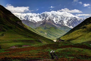 Georgia Bulldogs Wallpapers