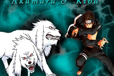 Kiba ♥ ♥ ♥ Kiba Inuzuka Wallpapers (27044606) Fanpop