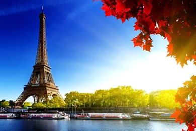 Eiffel Tower Eiffel Tower Wallpapers For Mobile – Fine HD ...