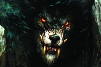 Werewolf Amazing Wallpapers 11119 Amazing Wallpaperz