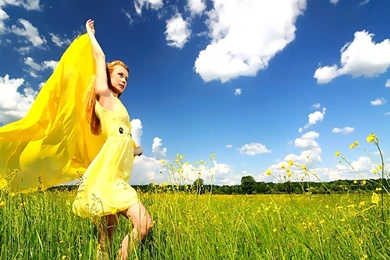 Summer Day Wallpapers Crazy Frankenstein