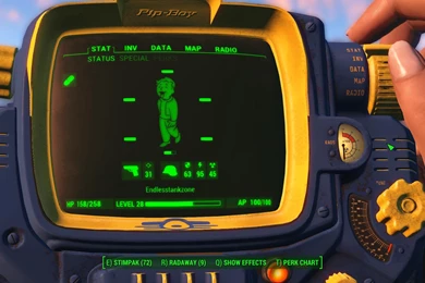 Vault Tec Branded PipBoy 3000 At Fallout 4 Nexus Mods And Community