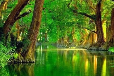 Beautiful 3d Nature Wallpapers For Desktop Hd 500x500 Beautiful 3D ...