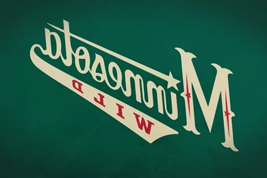 Minnesota Wild Hockey Club St Paul Usa