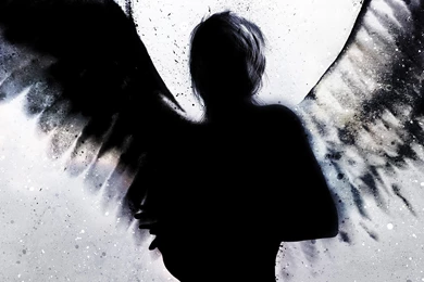 Fallen Angel Wallpapers Open Walls