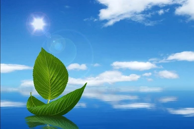 Worlds Best Wallpapers For Mobile 7