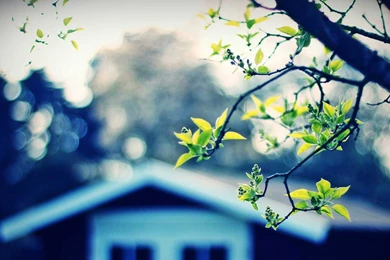 Beautiful House Wallpapers 1080p Wallpapers Wallpapers At GetHDPic.com