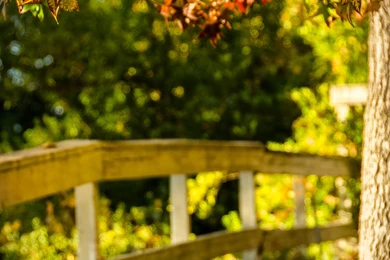 Some Autumn Themed Parallax Wallpapers Madness For Your IOS 7 ...