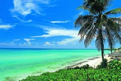 Exotic Beach Wallpapers Latest Pictures