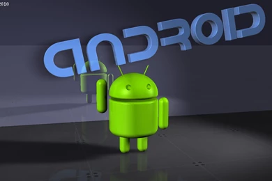 Set Portrait Wallpapers On Android WPer Wallpapers