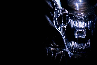 Aliens Wallpapers 1280x1024 (