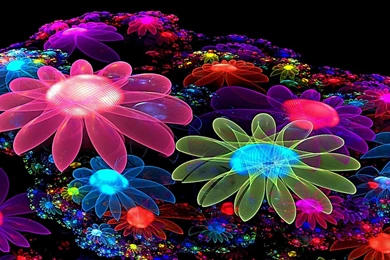 Colorful Abstract Flower Glow ~ Download Wallpapers For PC