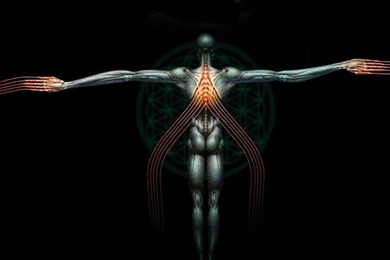 Music Tool HD Wallpapers, Desktop Backgrounds, Mobile Wallpapers ...