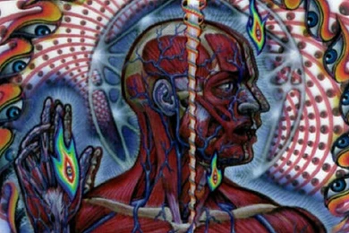 Tool Music Music Tool HD Wallpapers, Desktop Backgrounds, Mobile ...