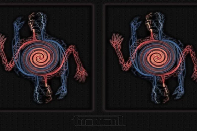 Tool Anatomy Band Multicolor Best Widescreen Backgrounds Awesome