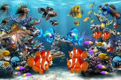 Fish Wallpapers – AB Wallpapers