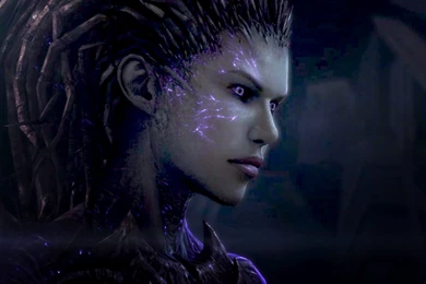 Queen Of Blades By ImaginedArt On DeviantArt