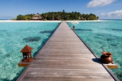 Tropical Island Collection (44+)