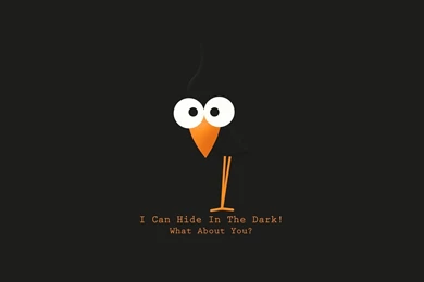 Bird text funny hd wallpapers