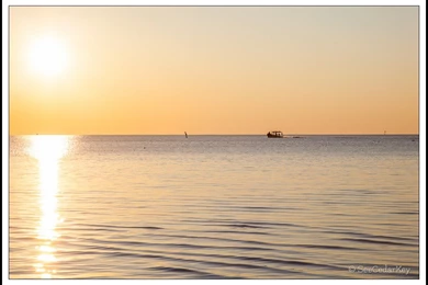 Good Morning Cedar Key! SeeCedarKey