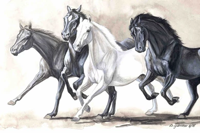 Free Download Art White Horse Painting Digital Horse Wallpapers 03 ...