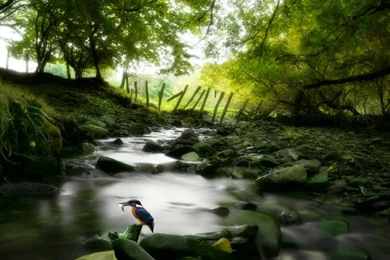 The Most Amazing In Addition To Gorgeous Windows 7 Nature ...