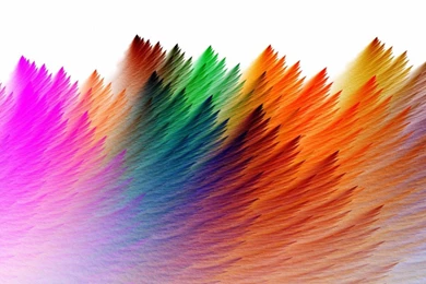 Wallpapers Vector Rainbow Feathers Best 1366x768