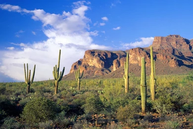 Desktop Wallpapers » Natural Backgrounds » Superstition Mountains ...