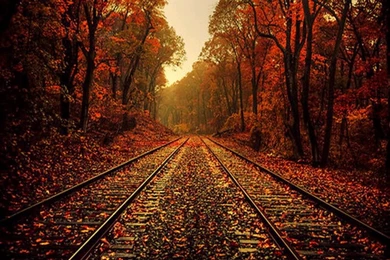 Fall Themed Wallpapers HD Wallpapers And Pictures