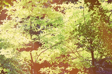 Market Wallpapers HD Widescreen Wallpapers