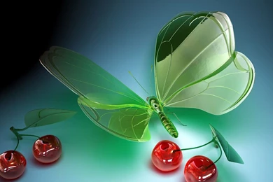 3d Wallpapers Download