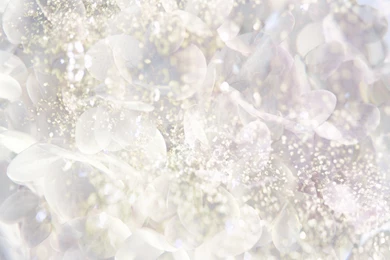 White Desktop Backgrounds Wallpaper, High Definition, High ...