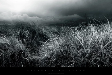 Black And White Wallpapers 299 HD Wallpapers