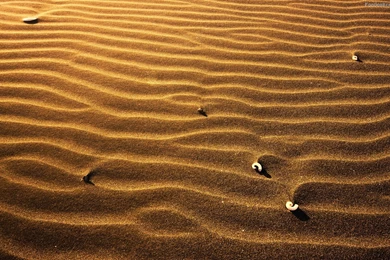 Arena en la playa 10469.jpg