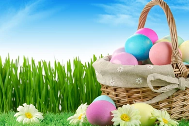 Wallpapers Paste HD Wallpapers And Pictures