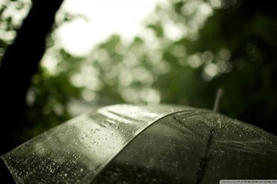 Transparent Umbrella HD Desktop Wallpapers : High Definition ...