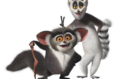Top Mort Madagascar Wallpapers Wallpapers