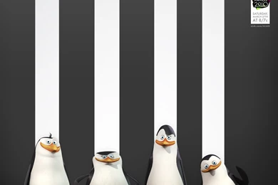 All New Pix1: Wallpapers Madagascar