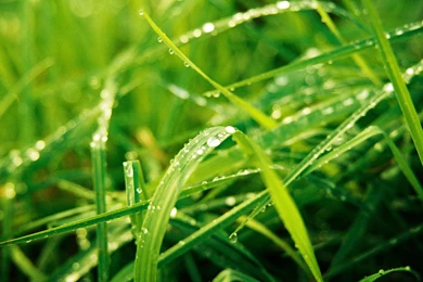 Windows 7 Wood Theme, 1920x1200 HD Wallpapers And FREE Stock Photo