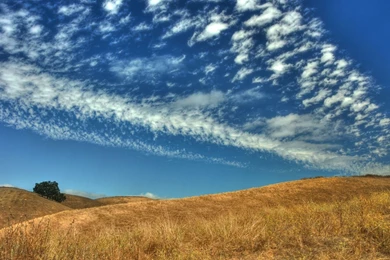 Blue Sky, The Yellow Prairie Wallpapers - Landscape Wallpapers ...