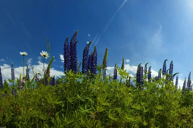 Android Wallpapers Of The Week