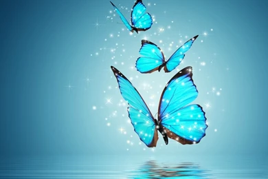 Android Wallpapers Of The Week