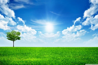 Green Nature HD Desktop Wallpapers : Mobile : Dual Monitor