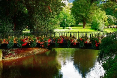 Wallpapers Lovely Nature View 2560x1920